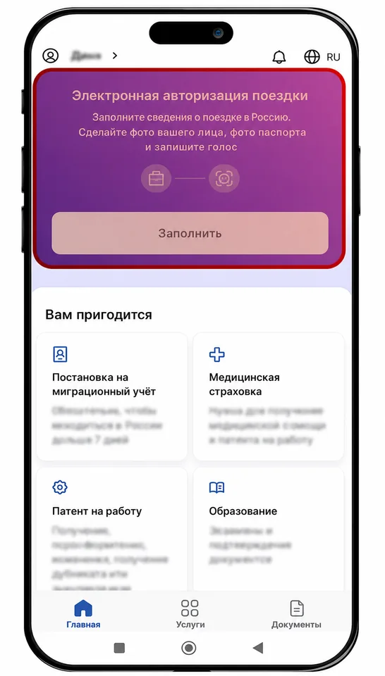 ruID home screen with the electronic travel authorization section