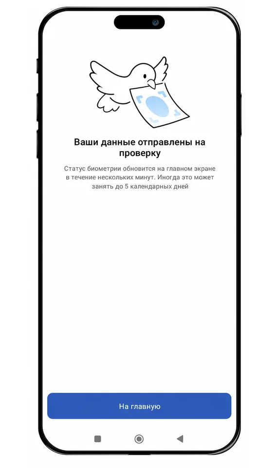 ruID screen showing that the data has been submitted for verification
