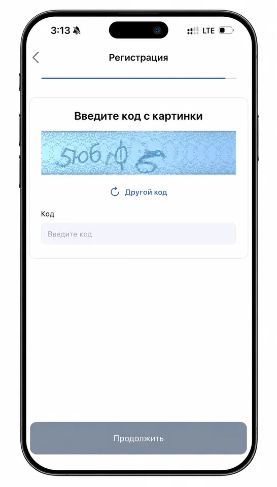 Application form verification and image code entry screen