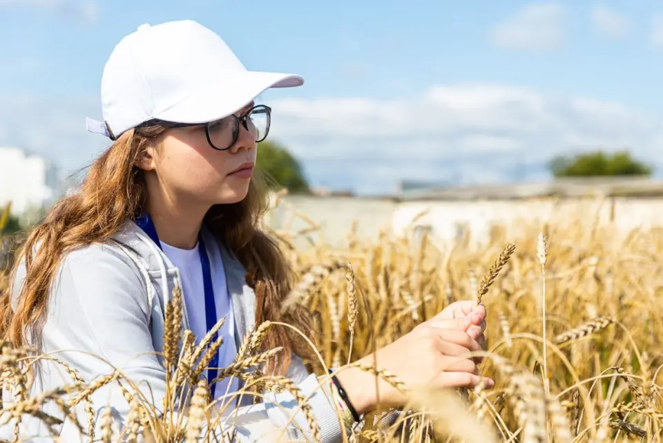 الجامعة الزراعية الحكومية الروسية - جامعة تيميريازيف الزراعية