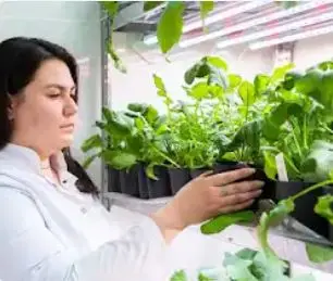 الجامعة الزراعية الحكومية الروسية - جامعة تيميريازيف الزراعية