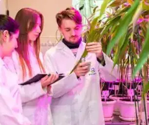 الجامعة الزراعية الحكومية الروسية - جامعة تيميريازيف الزراعية