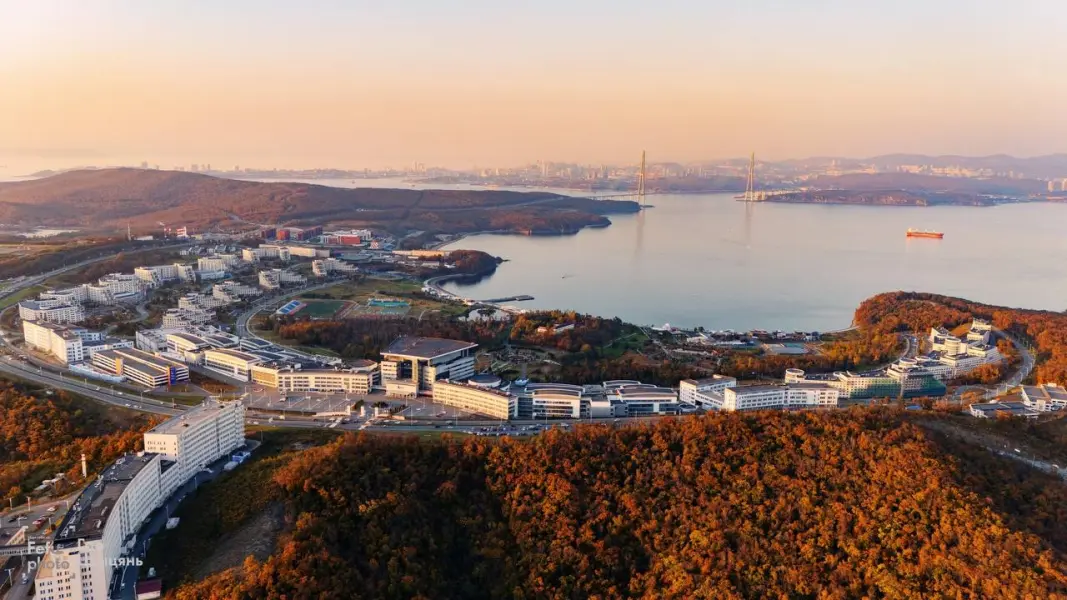 Дальневосточный федеральный университет