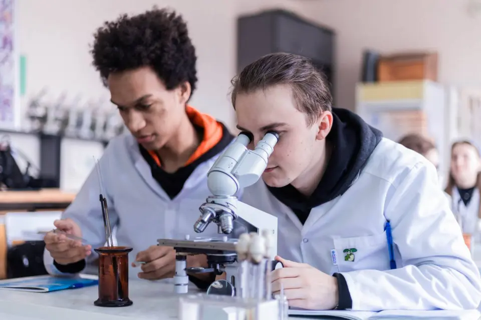 دانشگاه دولتی کوبان