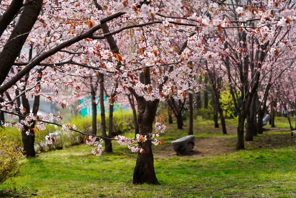 Владивостокский государственный университет