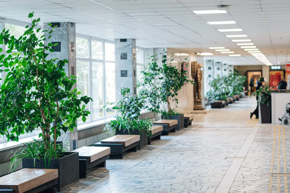 Davlat rus tili instituti A.S. Pushkin nomidagi