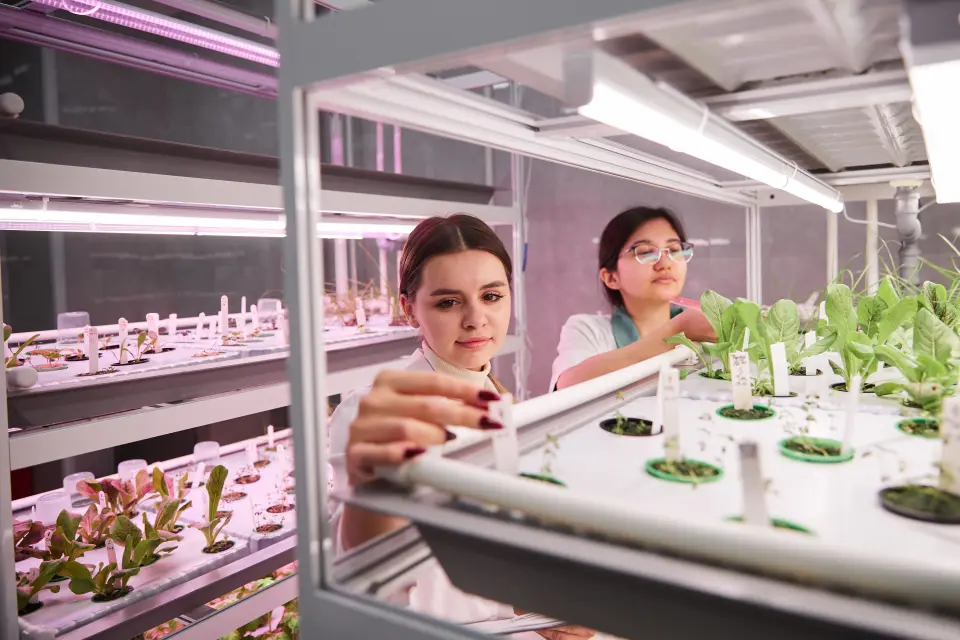 Сургут мамлекеттик университети