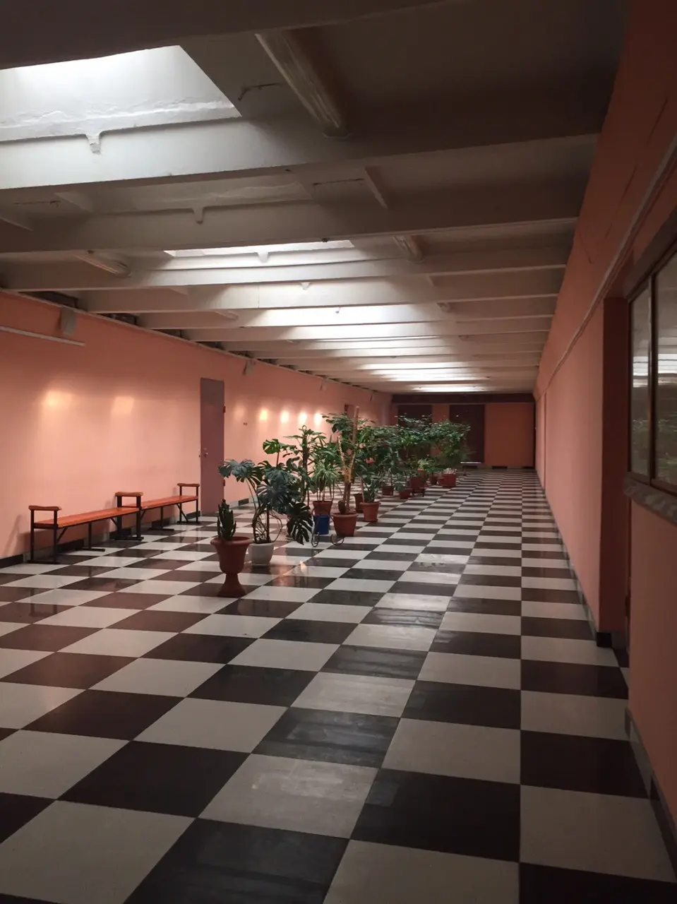 Instituto Electrostal (sucursal) de la Institución Federal Estatal Autónoma de Enseñanza Superior "Universidad Politécnica de Moscú"