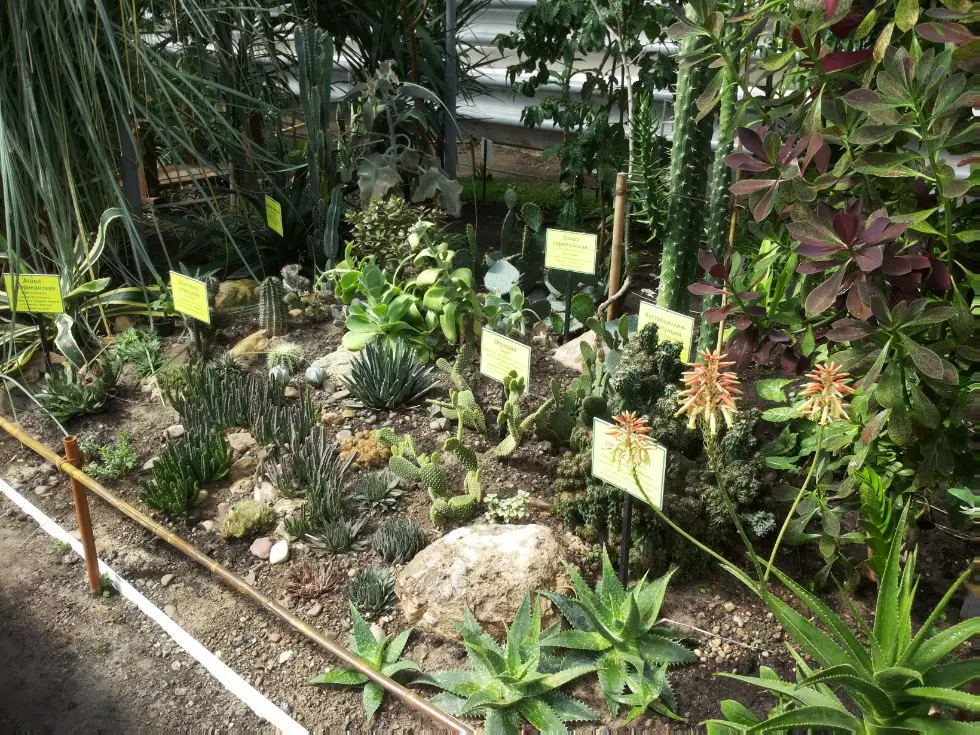 Botanical Garden