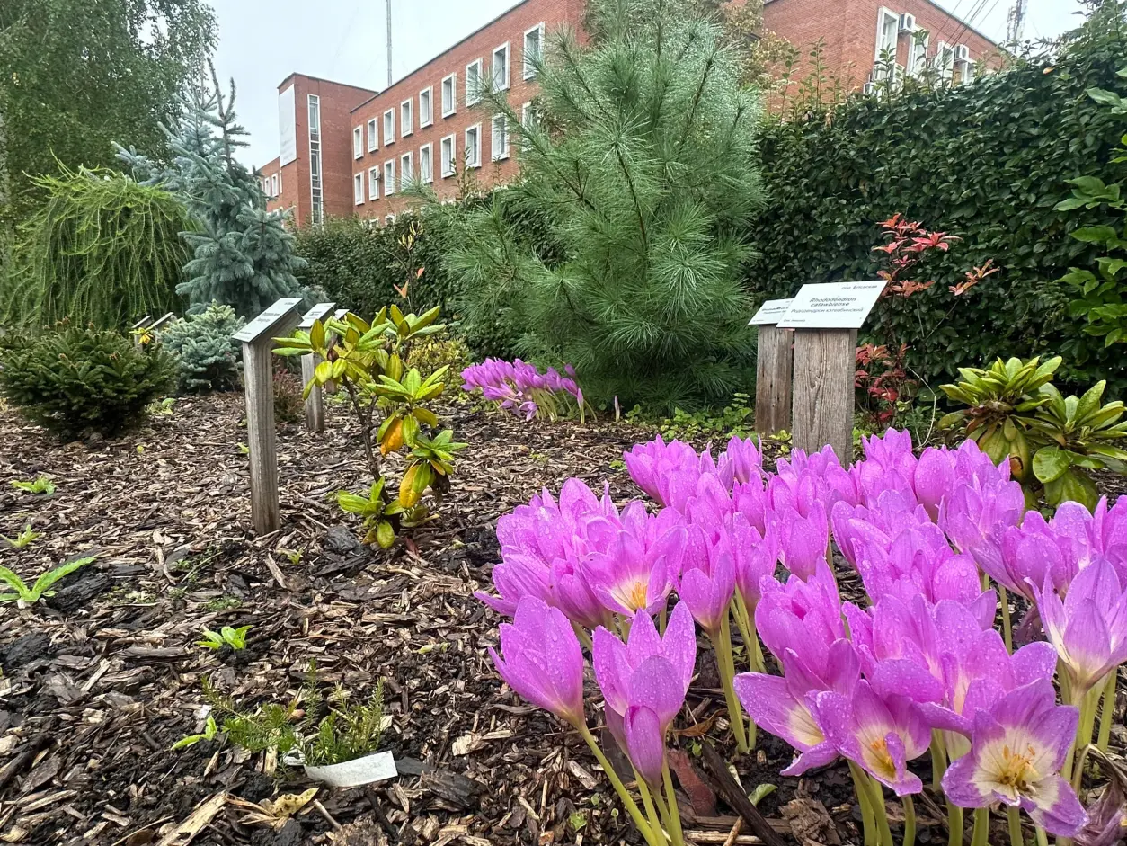 Botanical Garden of ChelGU